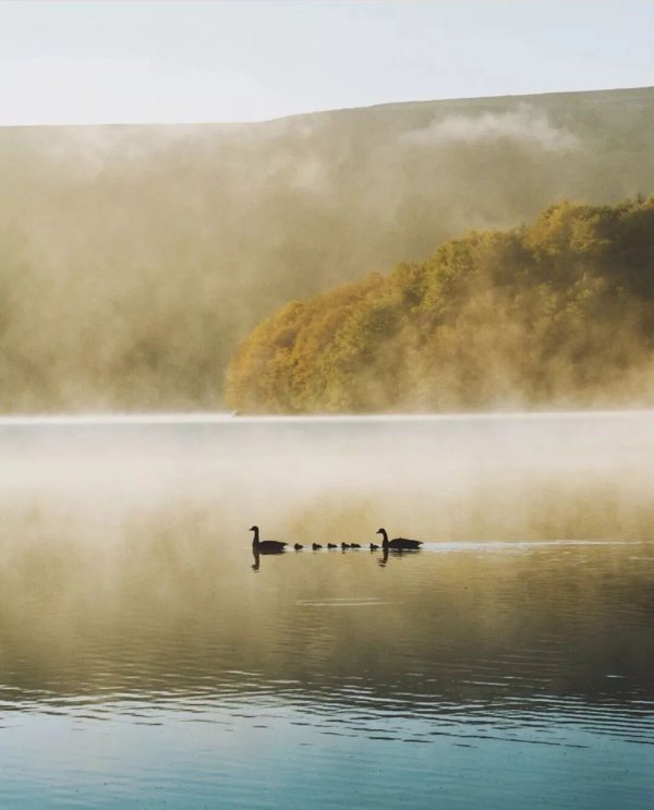 体育游戏app平台以用来跟放肆来一场聚首-开云官网切尔西赞助商(2025已更新(最新/官方/入口)