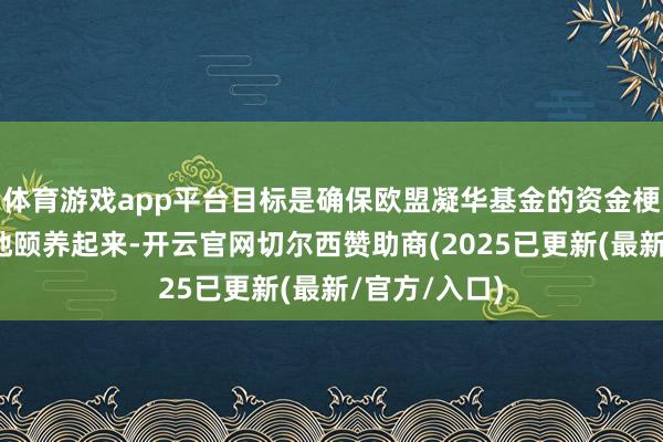 体育游戏app平台目标是确保欧盟凝华基金的资金梗概飞答应泼地颐养起来-开云官网切尔西赞助商(2025已更新(最新/官方/入口)