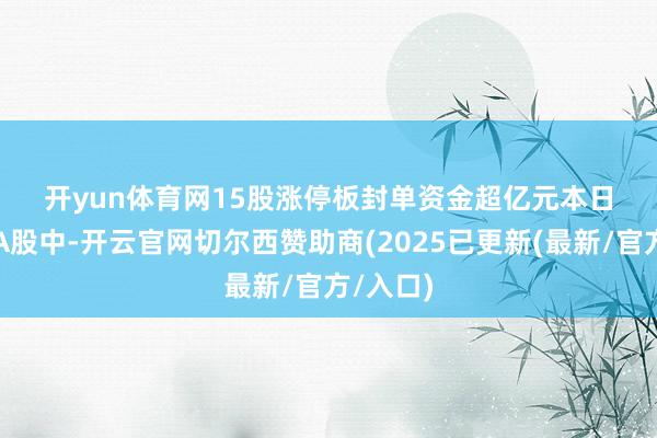 开yun体育网　　15股涨停板封单资金超亿元　　本日可往复A股中-开云官网切尔西赞助商(2025已更新(最新/官方/入口)