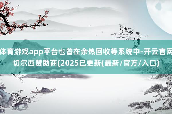 体育游戏app平台也曾在余热回收等系统中-开云官网切尔西赞助商(2025已更新(最新/官方/入口)