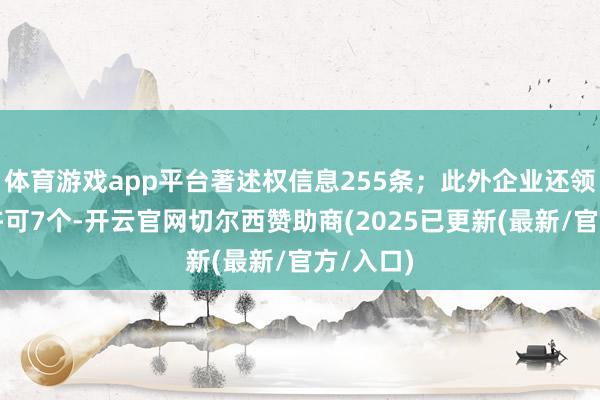 体育游戏app平台著述权信息255条;此外企业还领有行政许可7个-开云官网切尔西赞助商(2025已更新(最新/官方/入口)