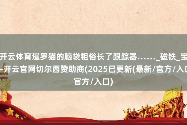开云体育暹罗猫的脑袋粗俗长了跟踪器……_磁铁_宝宝-开云官网切尔西赞助商(2025已更新(最新/官方/入口)