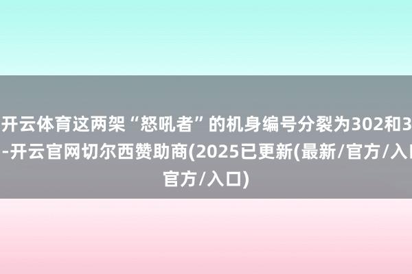 开云体育这两架“怒吼者”的机身编号分裂为302和303-开云官网切尔西赞助商(2025已更新(最新/官方/入口)
