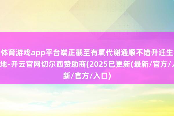 体育游戏app平台端正截至有氧代谢通顺不错升迁生存质地-开云官网切尔西赞助商(2025已更新(最新/官方/入口)